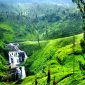 nuwara eliya 85x85